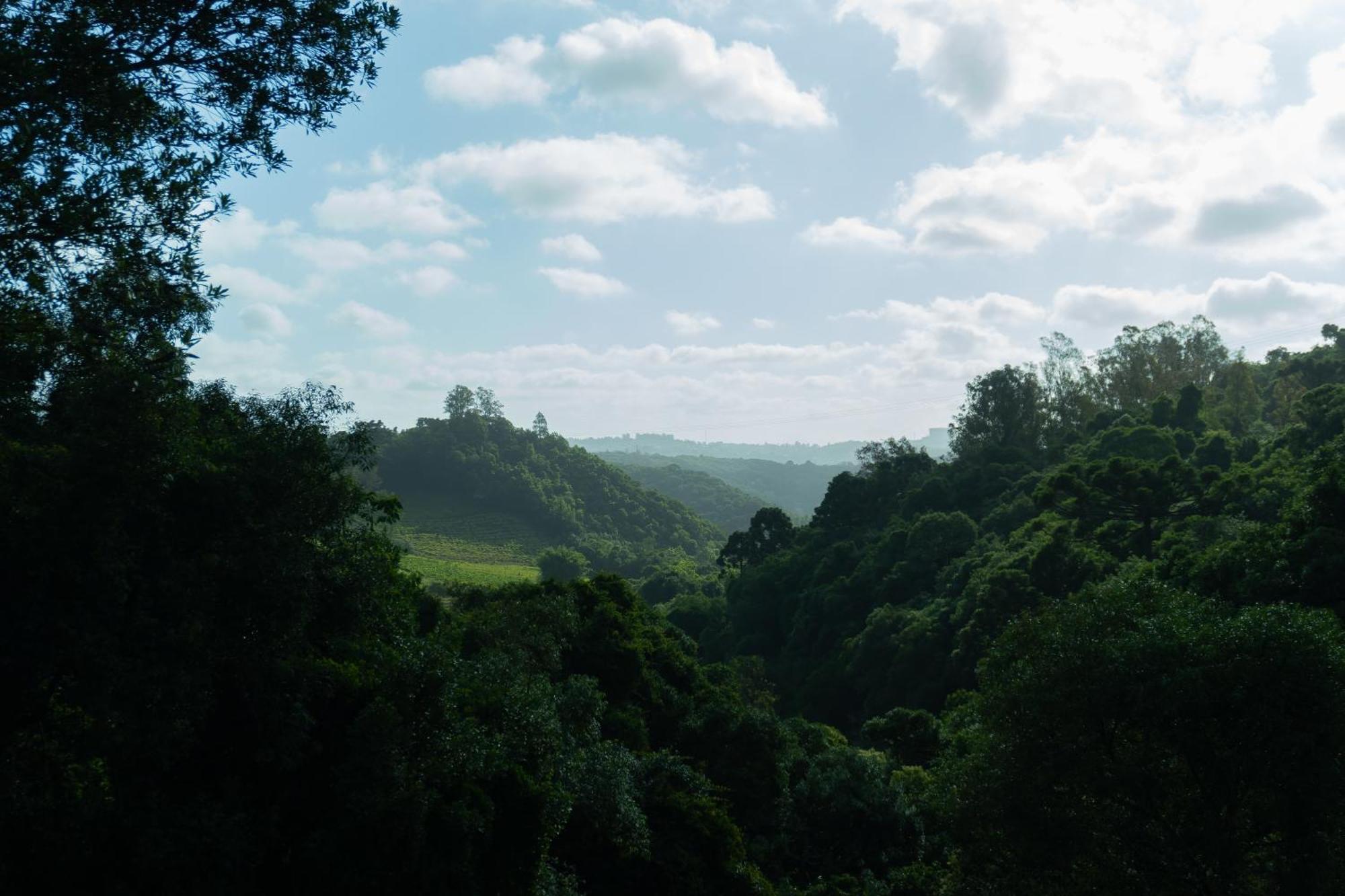 Villa Chale Seiva Da Terra Pinto Bandeira Esterno foto